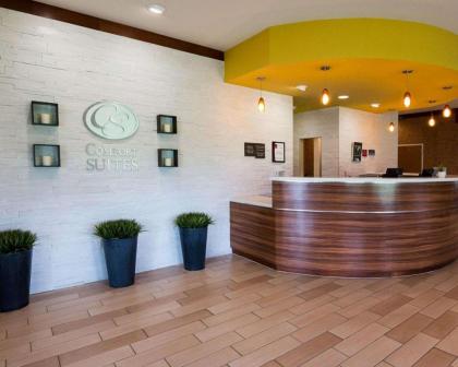 Comfort Suites Bossier City - image 3