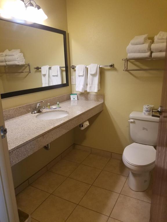 Cobblestone Inn & Suites - Bottineau - image 6