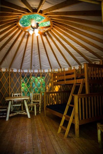 Mount Vernon Camping Resort 16 ft. Yurt 6 - image 3