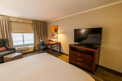 Hilton Garden Inn Bowling Green - image 7