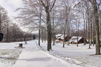 Edelweiss Lodge - image 14