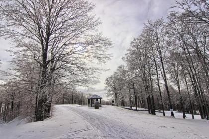 Edelweiss Lodge - image 15