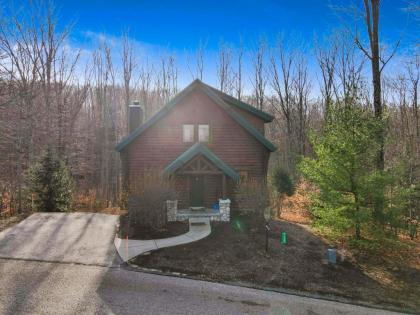 832 Mountain Cabin - image 11