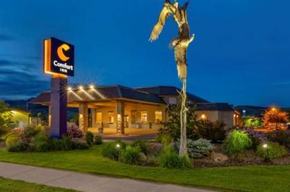 Comfort Inn Bozeman - image 1