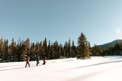 Residence Inn by Marriott Bozeman Downtown - image 12