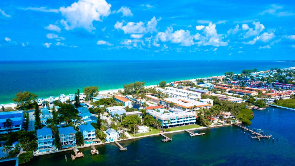 Anna Maria Island Beach Palms 8B - main image