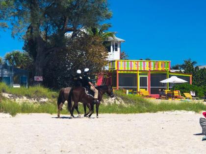 Anna Maria Island Beach Waves - image 15