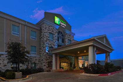 Holiday Inn Express & Suites Brady an IHG Hotel - image 4