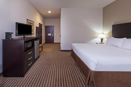 Holiday Inn Express & Suites Brady an IHG Hotel - image 8