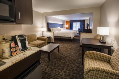 Holiday Inn Express Hotel & Suites Sioux Falls-Brandon an IHG Hotel - image 10