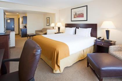 Holiday Inn Express Hotel & Suites Sioux Falls-Brandon an IHG Hotel - image 2