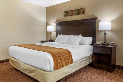 Comfort Inn at Thousand Hills - image 3