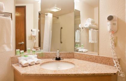 Holiday Inn Express Hotel & Suites Branson 76 Central an IHG Hotel - image 2