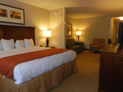 Country Inn & Suites by Radisson Braselton GA - image 15