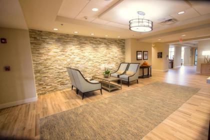 Hampton Inn & Suites Braselton - image 10