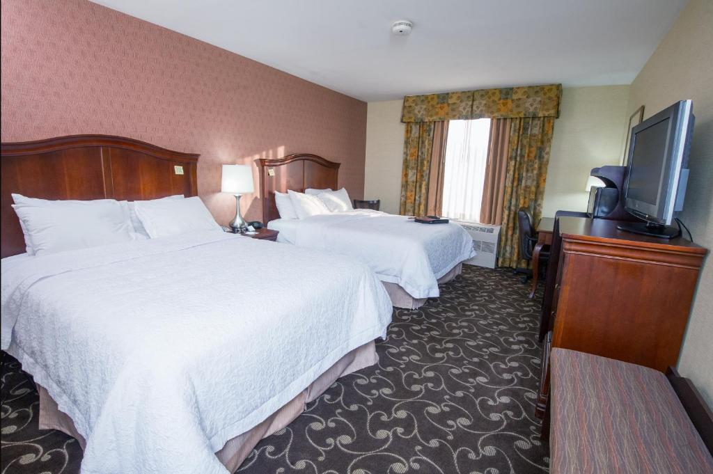 Hampton by Hilton Brattleboro - image 3