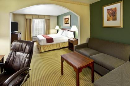 Holiday Inn Express Breaux Bridge an IHG Hotel - image 5