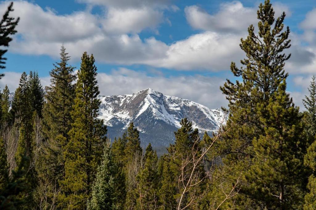 Elk Meadow Lodge - image 5