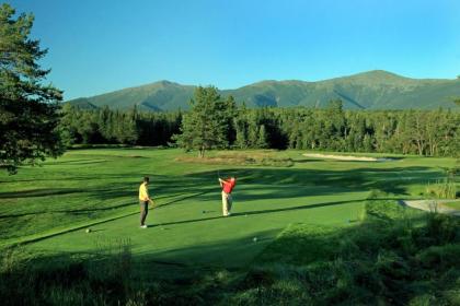 Omni Bretton Arms Inn at Mount Washington Resort - image 4