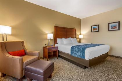 Comfort Inn - image 10