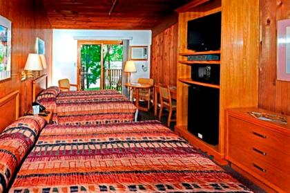 Tygart Lake Lodge - image 10