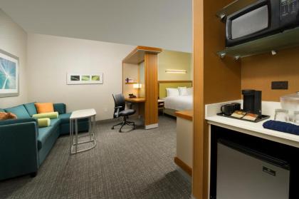 SpringHill Suites Bridgeport Clarksburg - image 13