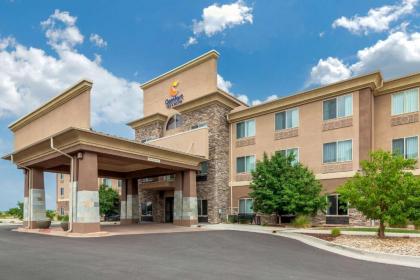 Comfort Inn & Suites Brighton Denver NE Medical Center - image 2