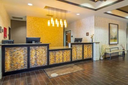 Comfort Inn & Suites Brighton Denver NE Medical Center - image 3