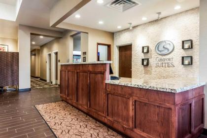 Comfort Suites Brookings - image 15