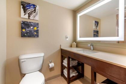 Comfort Suites Broomfield-Boulder/Interlocken - image 3