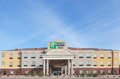 Holiday Inn Express Hotel & Suites Brownfield - image 13