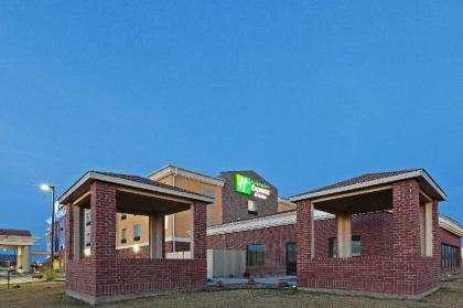 Holiday Inn Express Hotel & Suites Brownfield - image 14