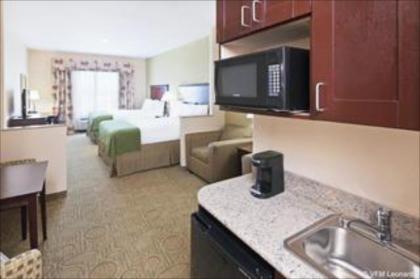 Holiday Inn Express Hotel & Suites Brownfield - image 3