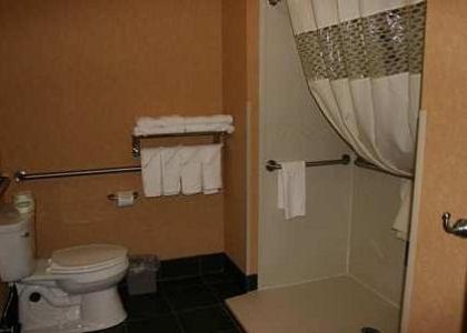 Hampton Inn and Suites Indianapolis/Brownsburg - image 2