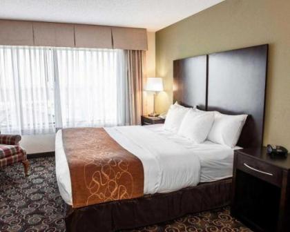 Comfort Suites West Indianapolis - Brownsburg - image 3