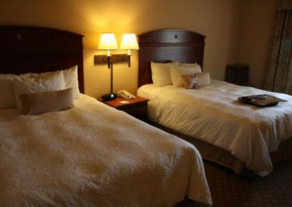 Hampton Inn and Suites-Brownsville - image 3