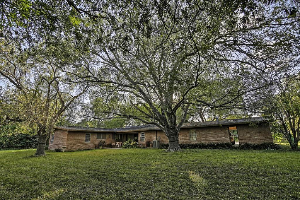 Mid-Century Brownsville Hideaway with Patio and Yard! - image 4