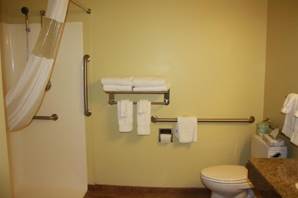 Best Western Plus Brunswick Inn & Suites - image 2