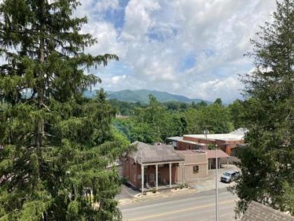 Stonebrook Lodge Bryson City - image 5