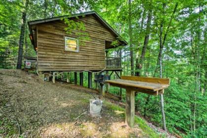 Smoky Mtn Studio Cabin with Picnic Area Pets Allowed - image 3