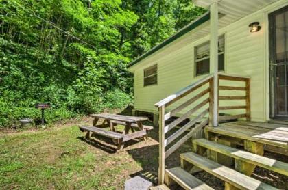 Secluded Bryson City Home with Deck Steps to Creek! - image 4