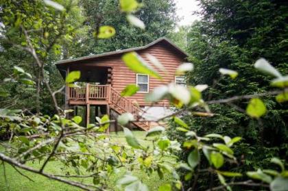 Fox Creek Waterside Cabin with Private Hot tub Bryson City