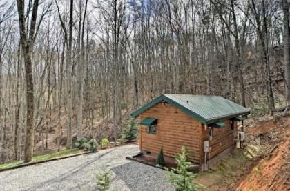 Superb Bryson City Studio Cabin with Hot Tub and Patio! - image 3