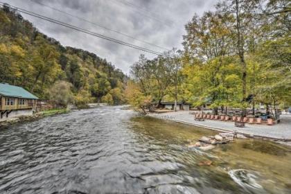 Pet-Friendly Rustic Bryson City Cabin with Fire Pit! - image 3