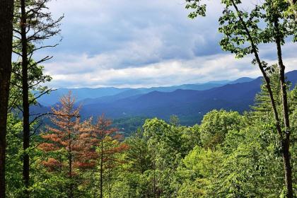 Buffalo Trace Cabin with Panoramic Smoky Mtn Views - image 6