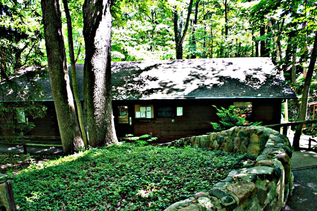 Bear Cave Camping Resort - image 6