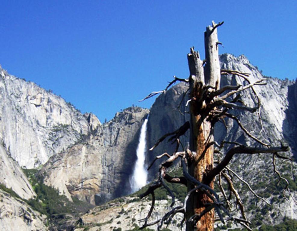 Yosemite Riverside Inn - image 2