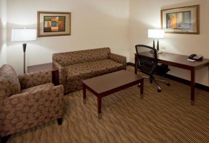 Holiday Inn Express Hotel & Suites Austin South - Buda an IHG Hotel - image 20