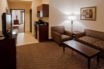 Holiday Inn Express Hotel & Suites Austin South - Buda an IHG Hotel - image 3