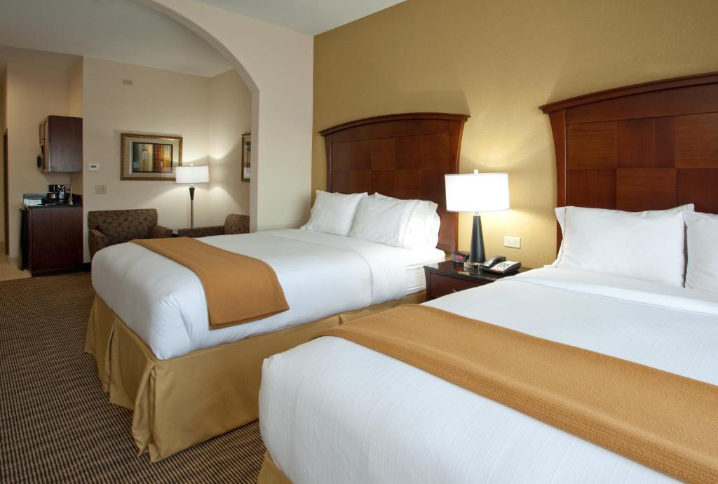 Holiday Inn Express Hotel & Suites Austin South - Buda an IHG Hotel - image 7